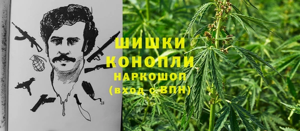 каннабис Алзамай